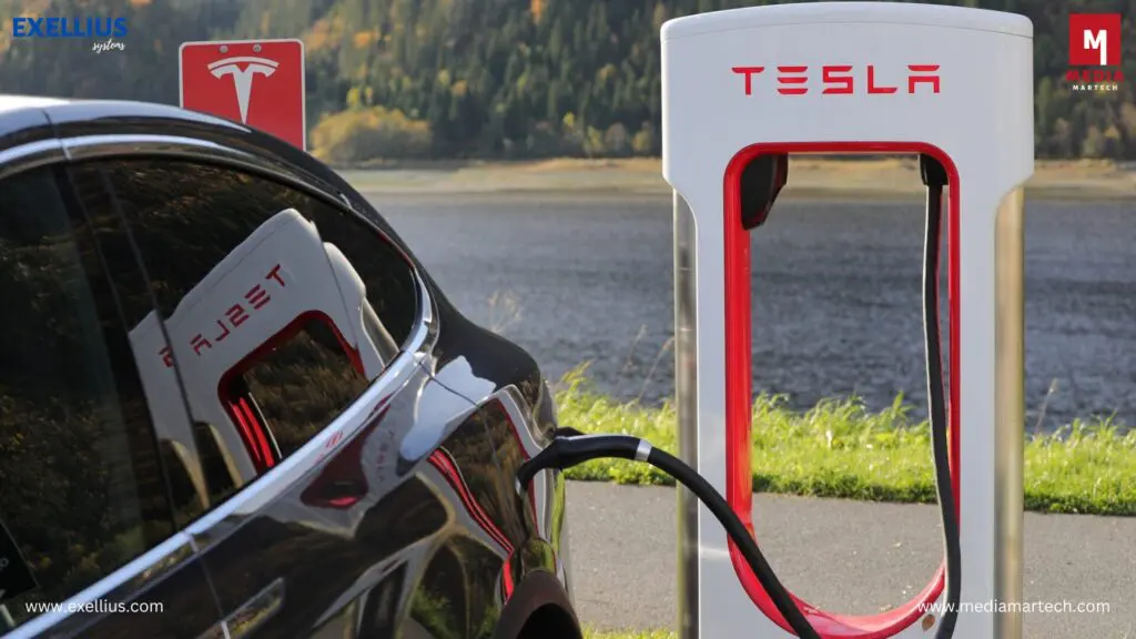 TESLA DRIVING